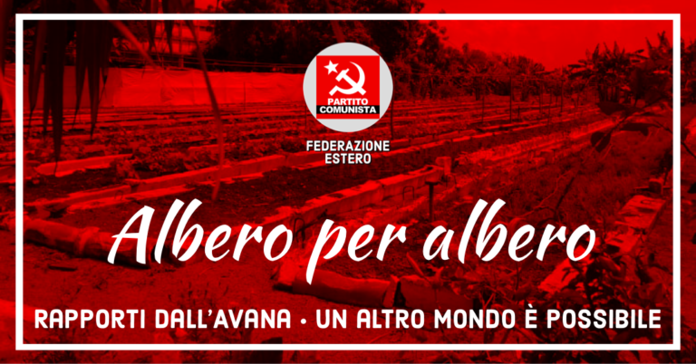 Albero per albero - cover